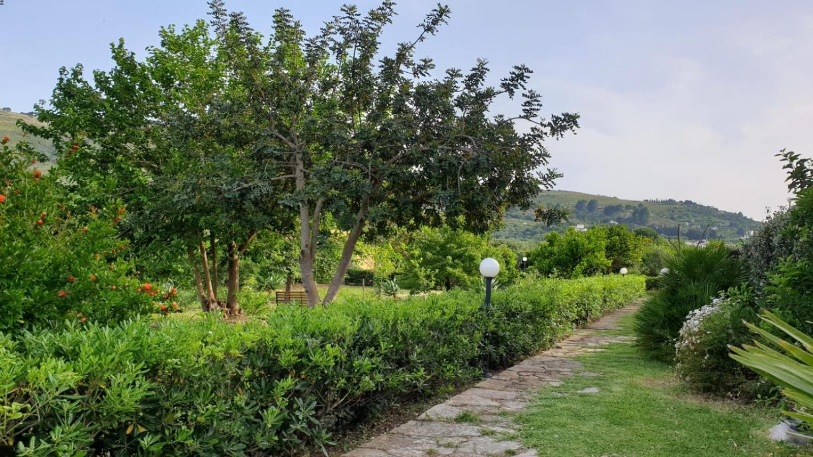 Le Terrazze Su Fraginesi Appartement Castellammare del Golfo Buitenkant foto
